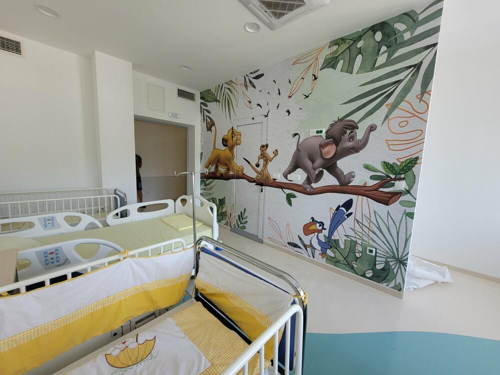 <p>Kompletna sredstva za adaptaciju dijela bjelopoljske Opšte bolnice i nabavku medicinske opreme obezbijedila je humanitarna organizacija humaniste Hajriza Brčvaka</p>