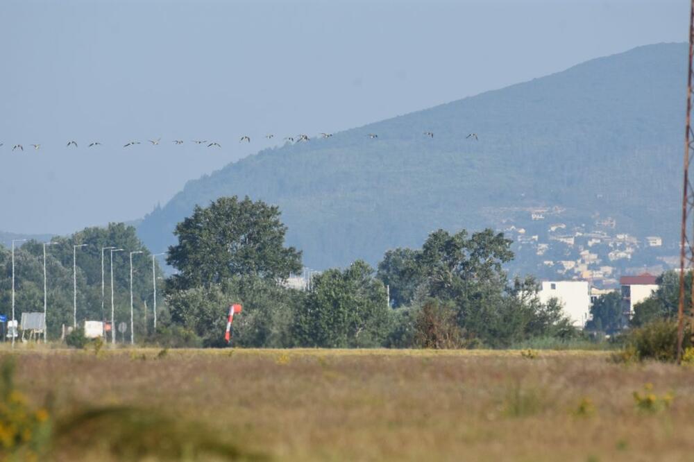 Male carske šljuke u preletu preko piste, Foto: CZIP