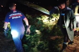 Nevrijeme u Nikšiću obaralo stabla, otkrivalo krovove kuće