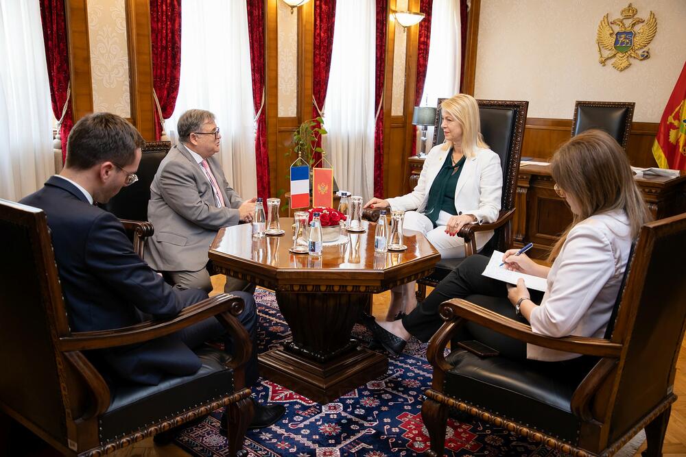 <p>"Đurović je potencirala potrebu skorog otvaranja Regionalnog centra za borbu protiv sajber kriminala i sajber bezbjednost i zahvalila zbog odluke Francuske da bude izgrađen u Podgorici", navodi se u saopštenju Skupštine</p>