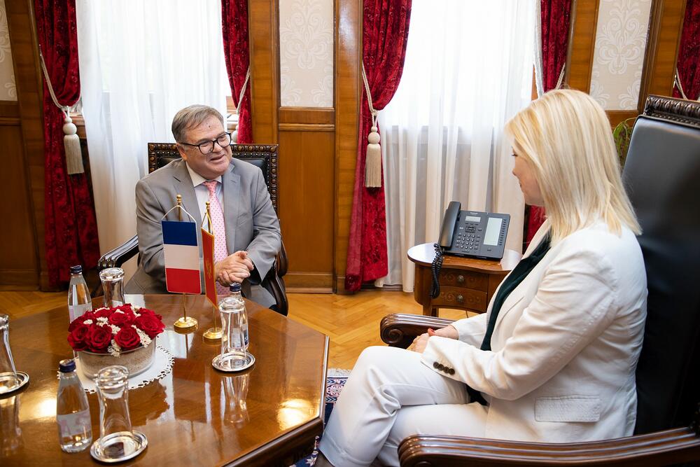 <p>"Đurović je potencirala potrebu skorog otvaranja Regionalnog centra za borbu protiv sajber kriminala i sajber bezbjednost i zahvalila zbog odluke Francuske da bude izgrađen u Podgorici", navodi se u saopštenju Skupštine</p>