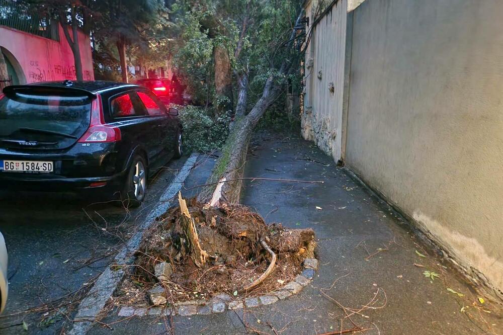 Posljedice nevremena u Beogradu, Foto: BETAPHOTO