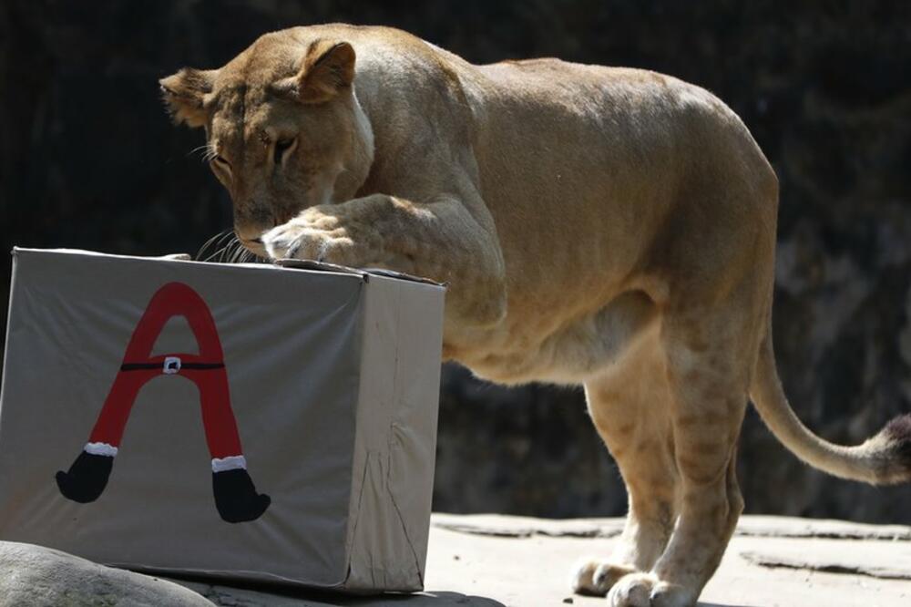 Foto: Ernesto Guzman/EPA-EFE/REX/Shutterstock