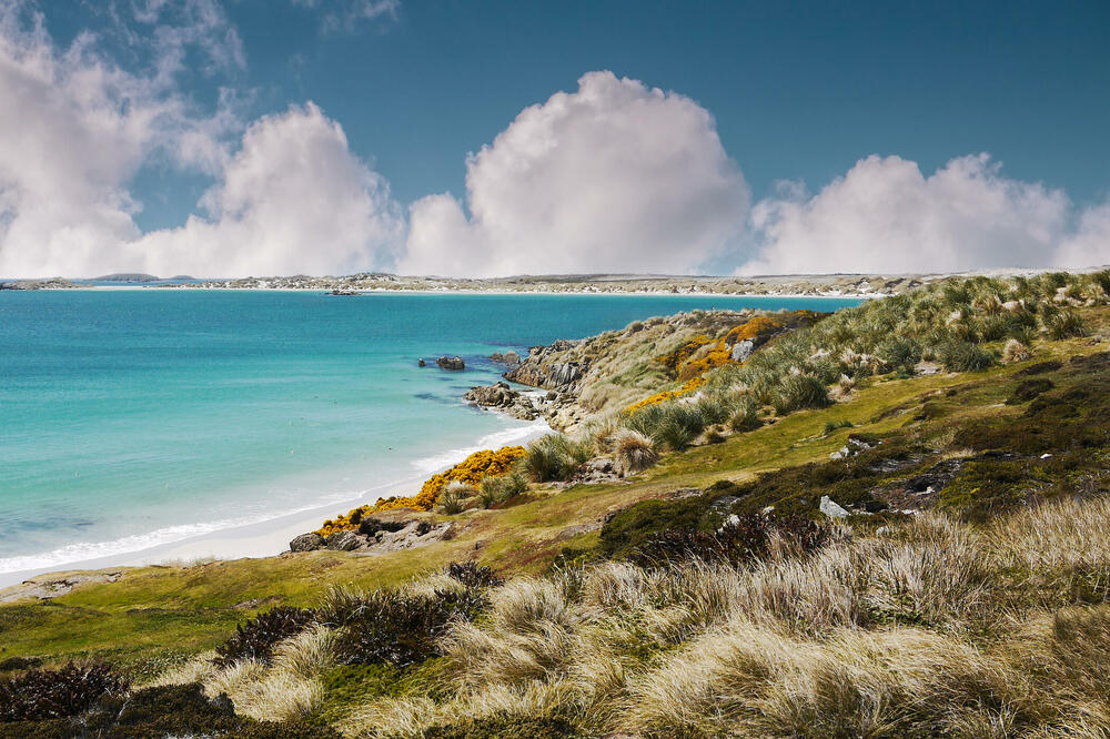 Obala Foklandskih ostrva, Foto: Shutterstock