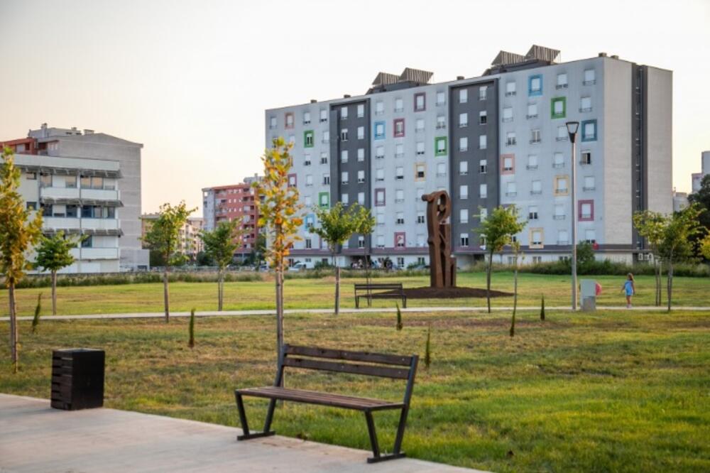 "Ligatura", Foto: UCG