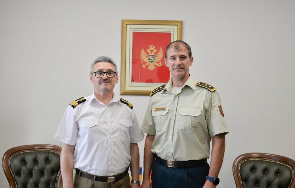 Šerban i Radulović