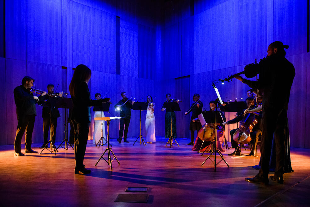 Crnogorski kamerni orkestar