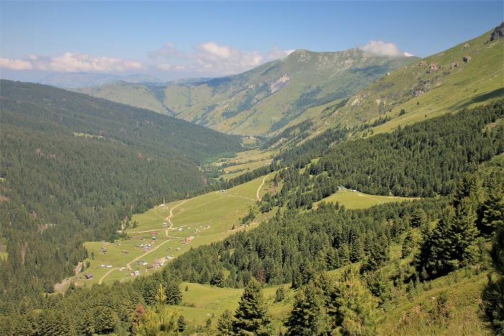 Katun Bogićevica, Hodžina Ravan