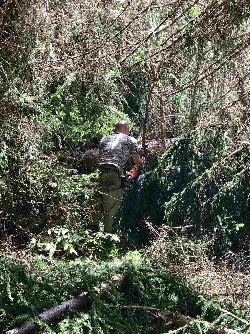 <p>Sakupljeno oko 60 džakova raznog otpada</p>