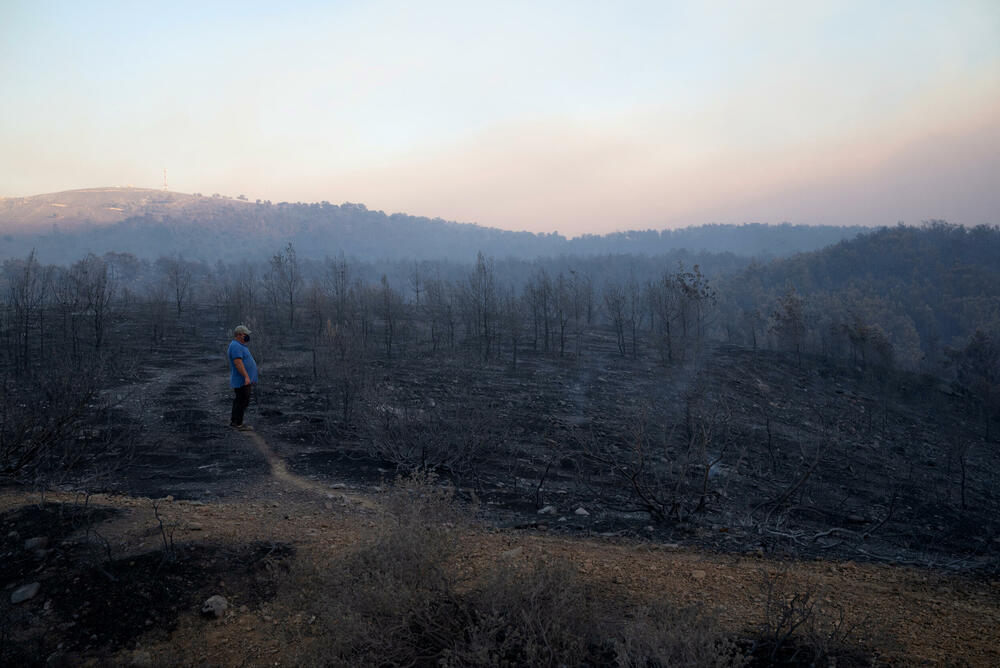 <p>Vatrogasci, potpomognuti kanaderima iz vazduha i pojačanjem iz Slovačke, bore se s vatrenom stihijom koja, potpomognuta jakim vjetrom, guta šumu na ostrvu</p>