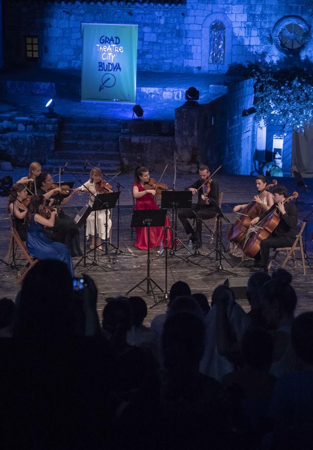Crnogorski kamerni orkestar