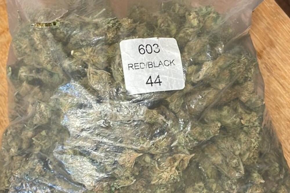 Zaplijenjena marihuana, Foto: Uprava policije