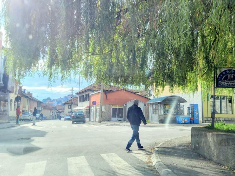 Krošnja vrbe u Pljevljima