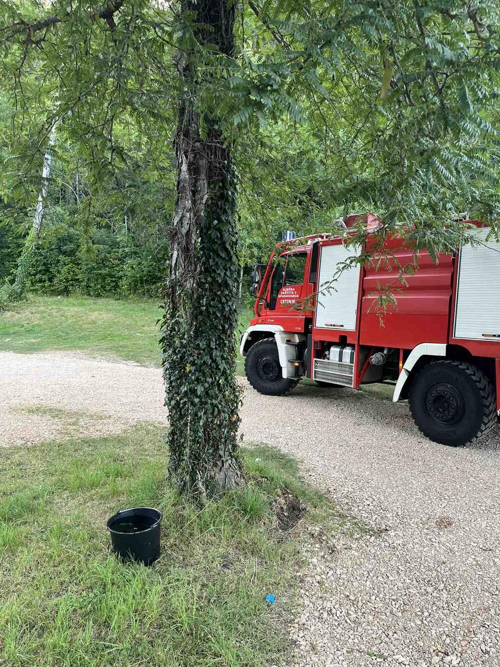 posude za pse Cetinje