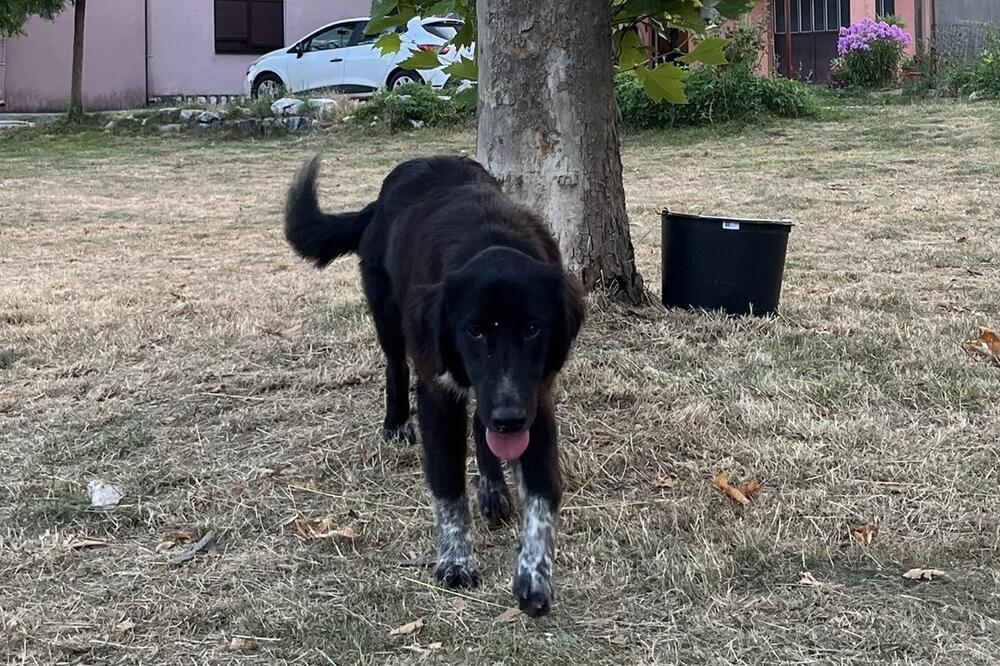 Foto: Prijestonica Cetinje