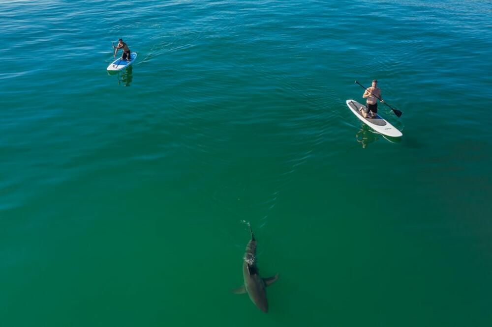 Foto: Carlos Gauna/The Malibu Artist