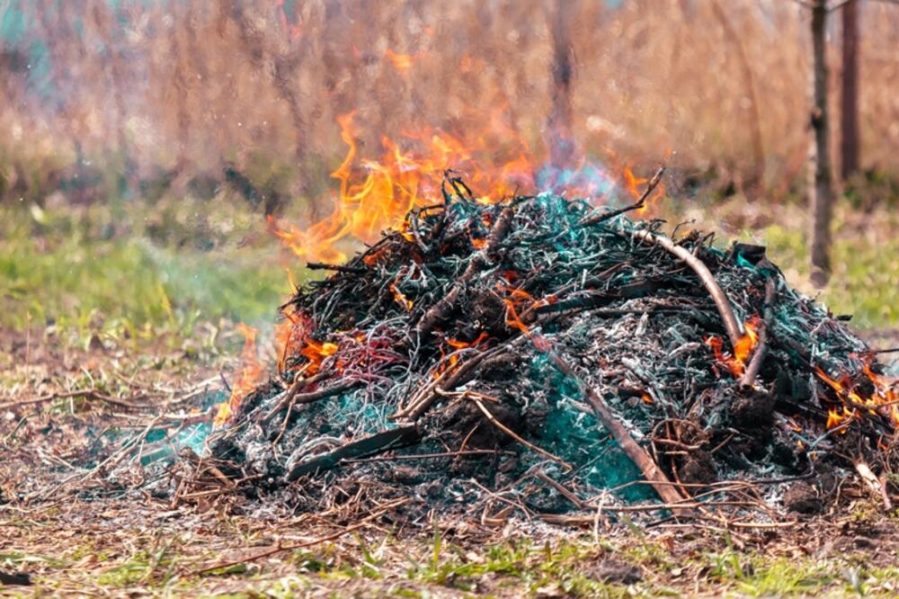 Ilustracija, Foto: Shutterstock