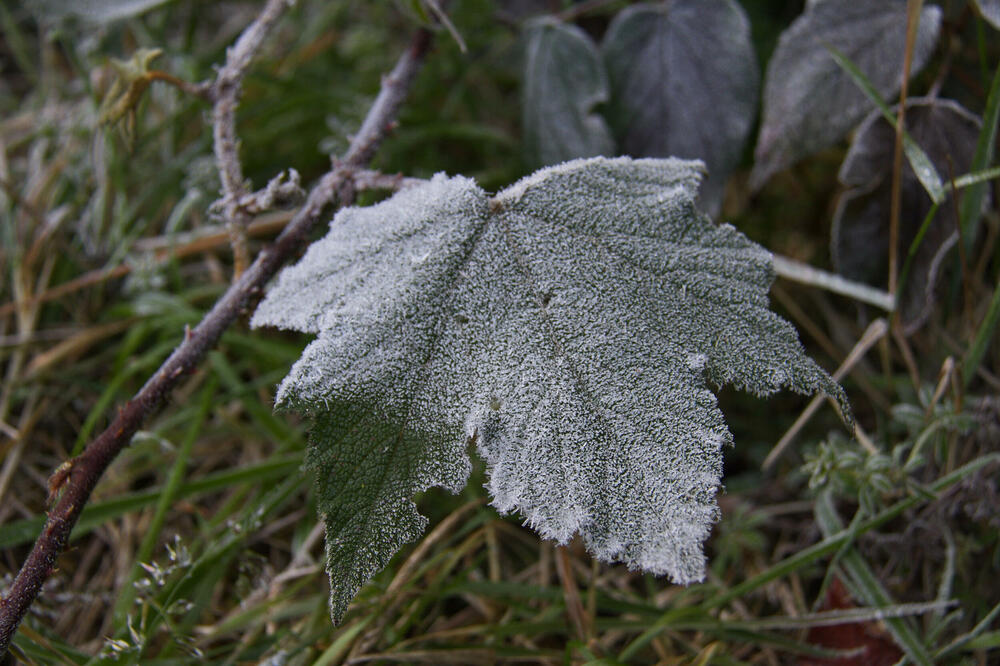 Ilustracija, Foto: Shutterstock