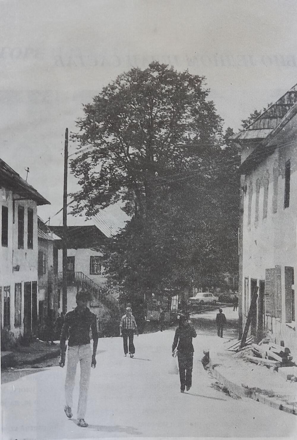 Detalj iz Andrijevice