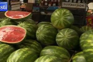 Proizvođači lubenice ove godine zadovoljni prodajom