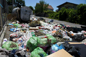 Podgoričani "posijali" 300 tona smeća više