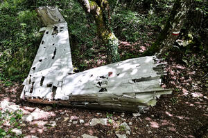 Šest ljudi poginulo u padu malog aviona u Kalgariju