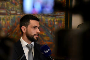 DPS: Damjanović rekao da je uredbom moguće odgoditi popis, ali da...