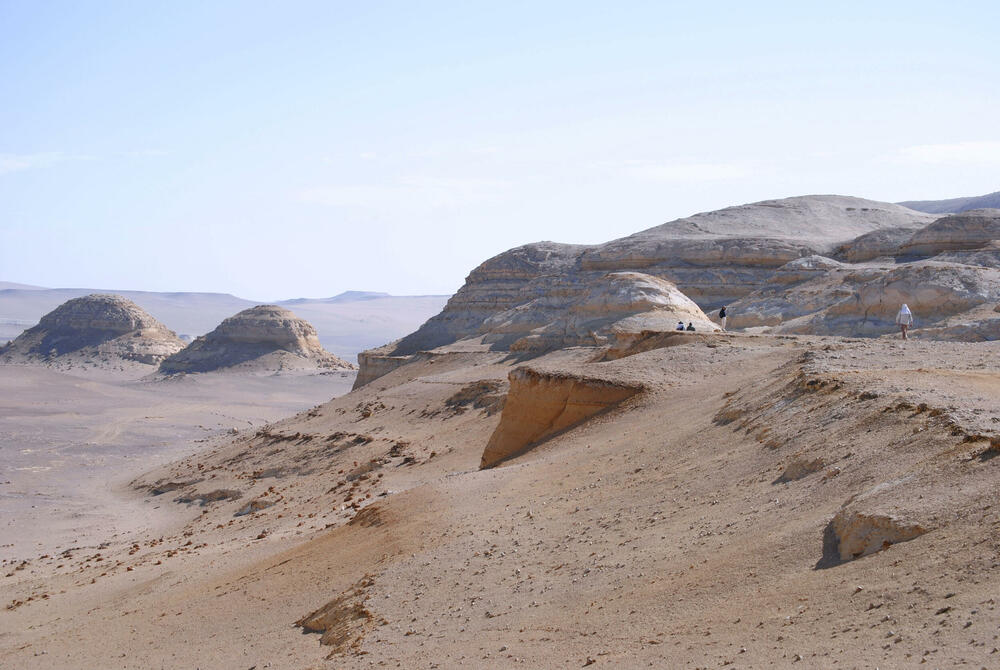 Priobalna pustinja u kojoj je nađen drevni kit
