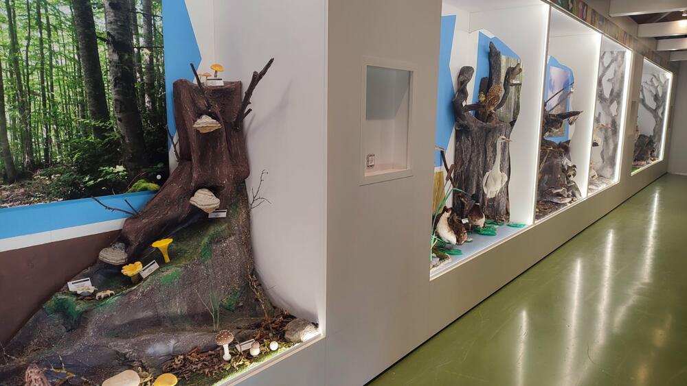 <p>Završetak radova presjecanjem vrpce ozvaničili su predsjednik države Jakov Milatović i gradonačelnik Plužina, Slobodan Delić, dok će Kula za posjetioce biti otvorena najvjerovatnije početkom septembra.</p>