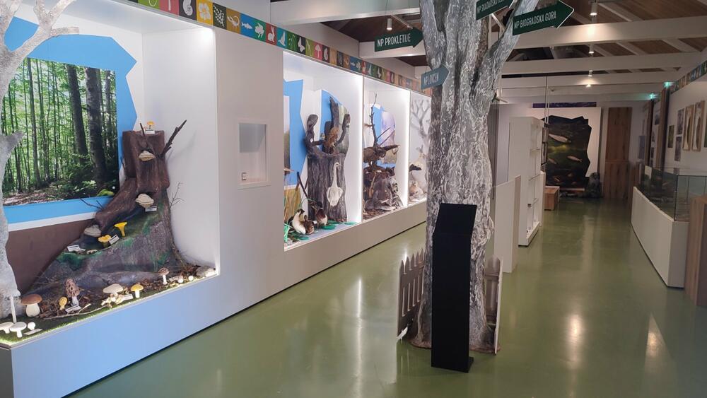 <p>Završetak radova presjecanjem vrpce ozvaničili su predsjednik države Jakov Milatović i gradonačelnik Plužina, Slobodan Delić, dok će Kula za posjetioce biti otvorena najvjerovatnije početkom septembra.</p>