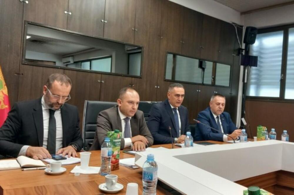 Damjanović, Foto: Mina