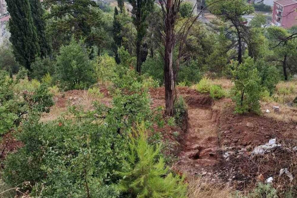 Foto: Facebook/Oči Podgorice