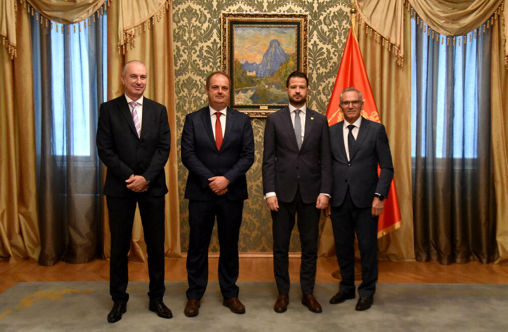 Milatović Albanska alijansa