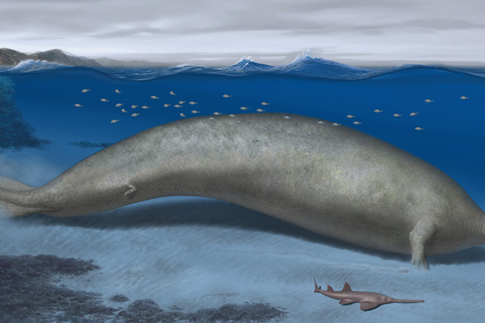 Foto: Alberto Gennari