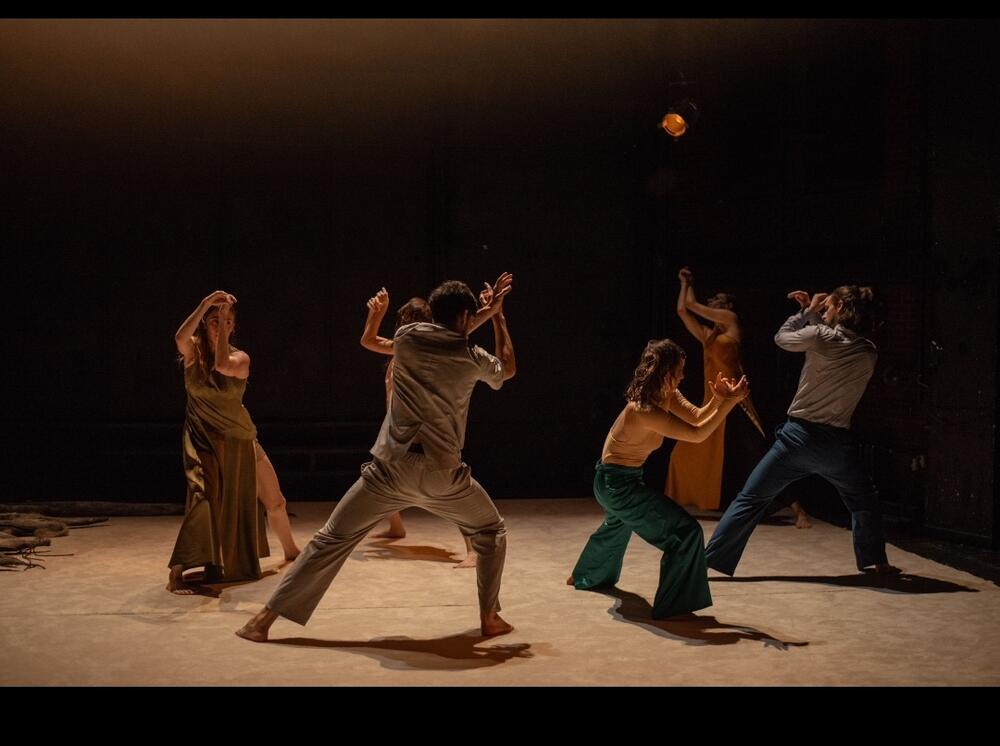 Iz baleta 'Zidanje Skadra'