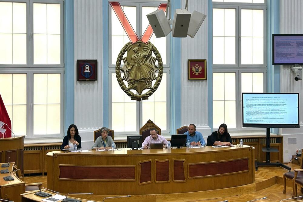 Detalj sa Centralne javne rasprave na Cetinju, Foto: Prijestonica Cetinje