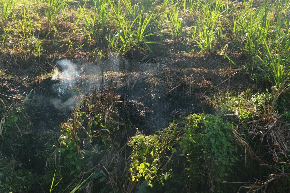 Ilustracija, Foto: Shutterstock