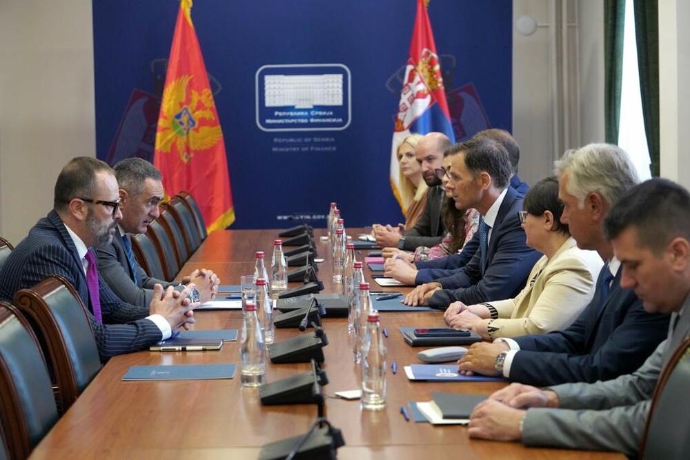 Aleksandar Damjanović, Siniša Mali