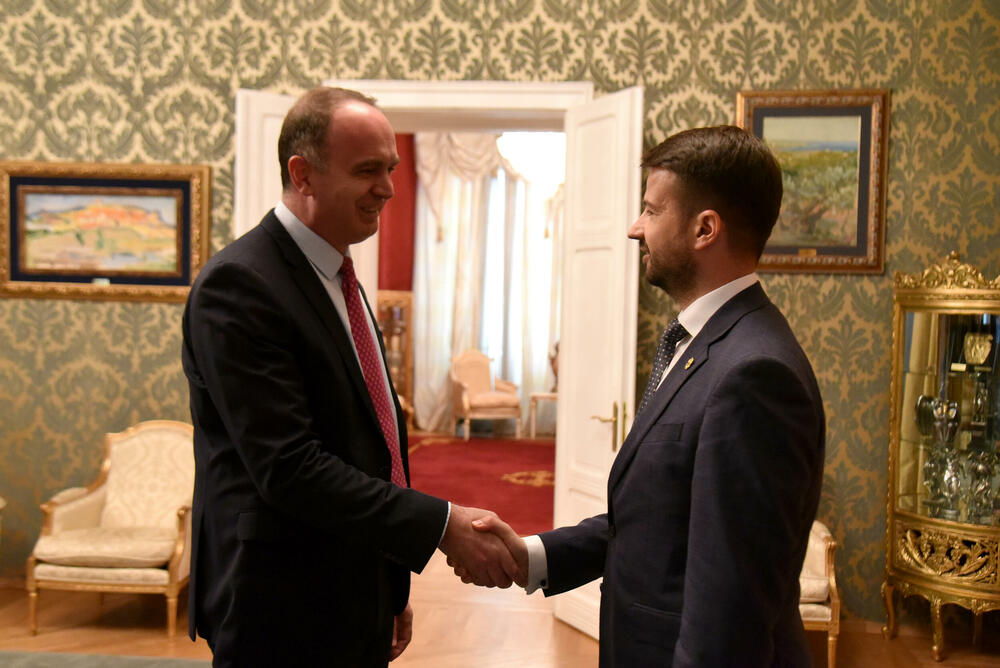 <p>Konsultacije su održane u rezideniciji predsjednika na Cetinju</p>