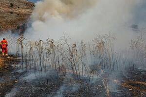 Šumski požari, promjenljivo lice mediteranskog pejzaža
