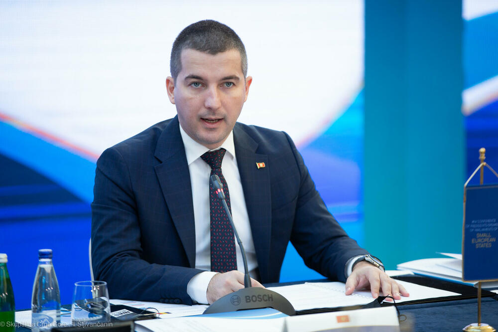 Bečić, Foto: Demokratska Crna Gora