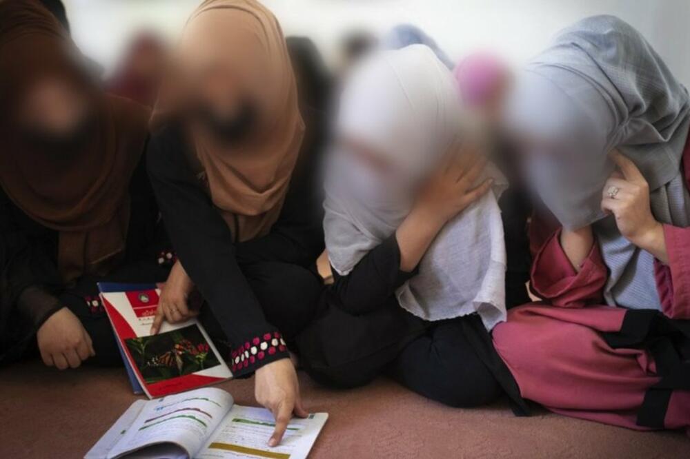 Foto: Library: Getty Images / Sandra Calligaro