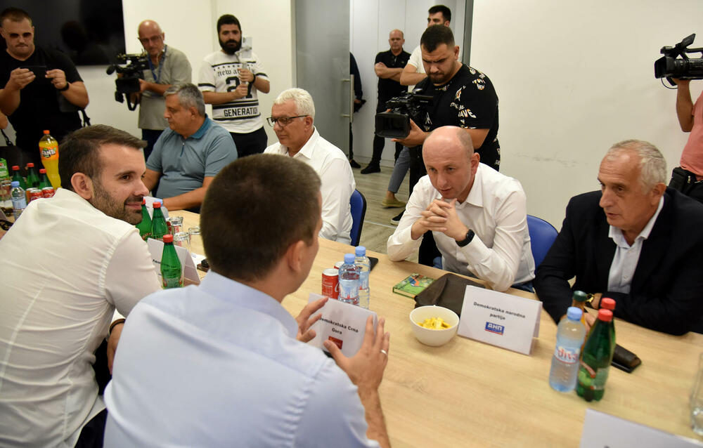 <p>Spajić je u četvrtak od šefa države dobio mandat za sastav vlade. Rok da završi taj posao je tri mjeseca, a mora dobiti podršku najmanje 41 poslanika</p>