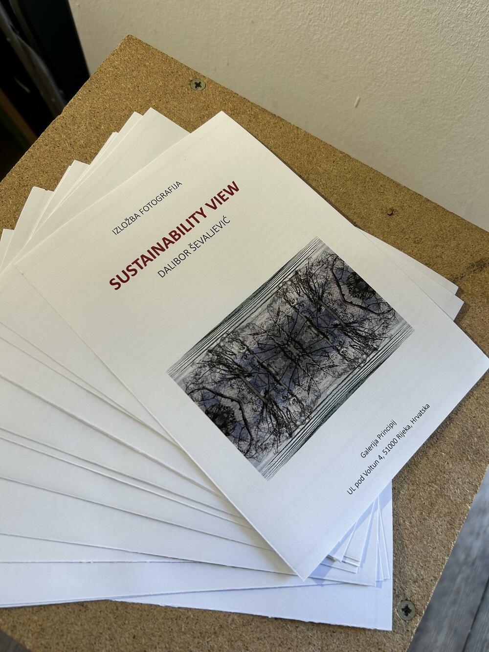 Dalibor Ševaljević izložba