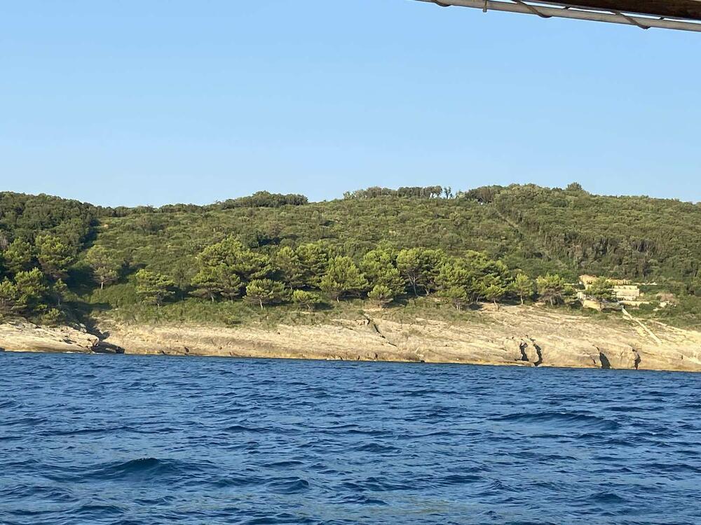 Sadašnji izgled Borove šume