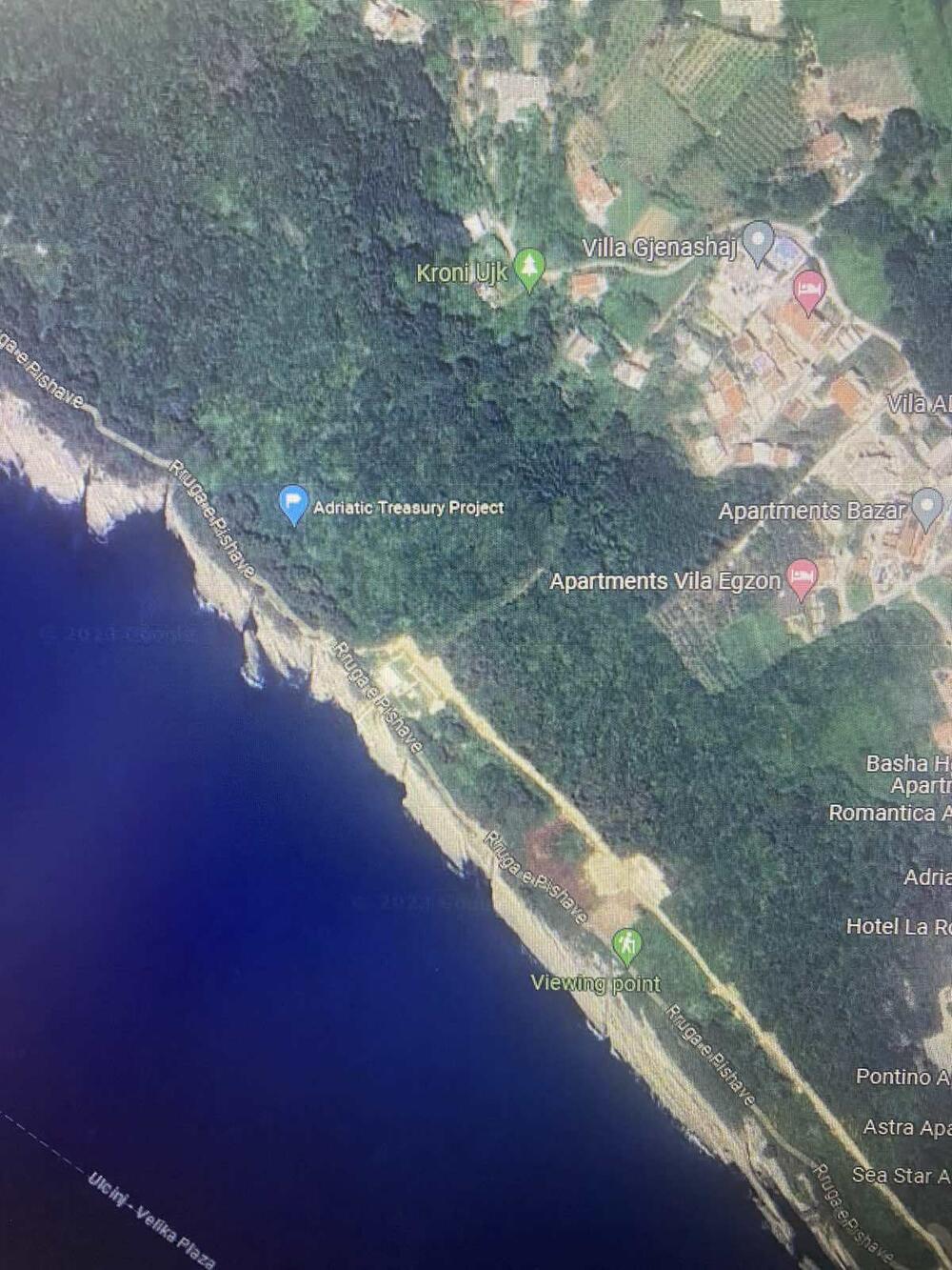 Satelitski snimak borove šume 