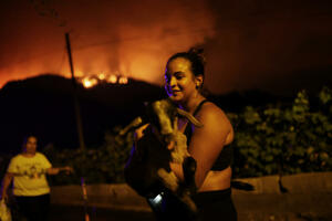 FOTO Evakuisano više od 8.000 ljudi sa Tenerifa zbog šumskog požara