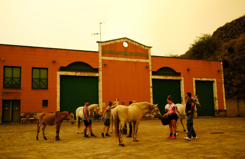 <p>Hitna služba spasavanja saopštila je da bi broj evakuisanih "mogao da premaši 26.000".<br /> </p>