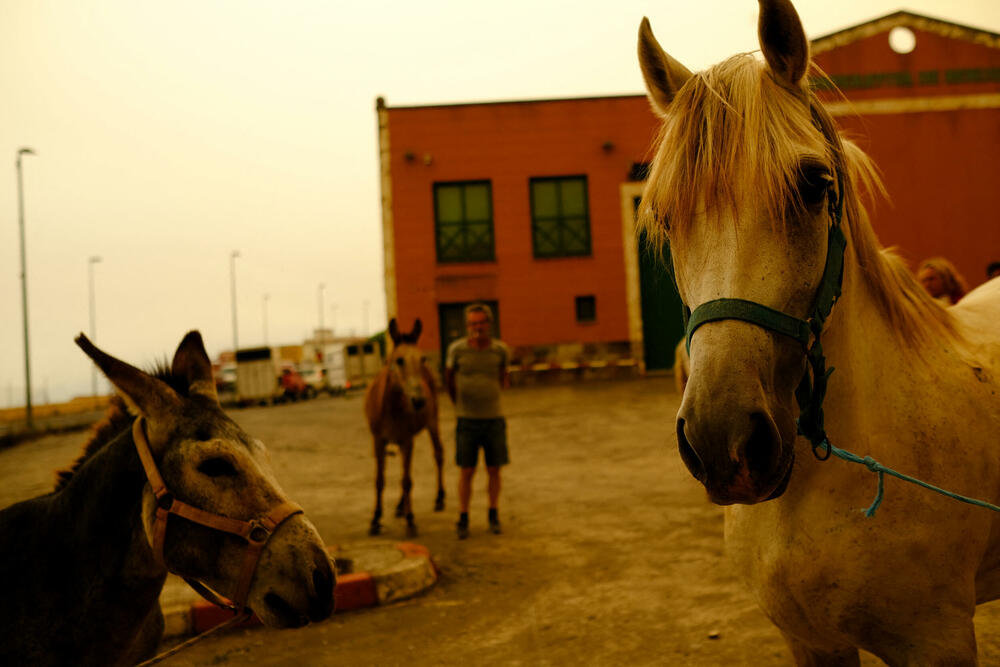 <p>Hitna služba spasavanja saopštila je da bi broj evakuisanih "mogao da premaši 26.000".<br /> </p>