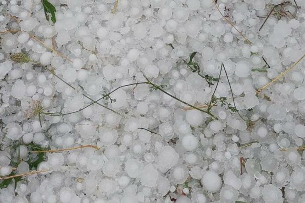 Foto: Jadranka Ćetković